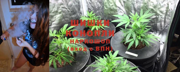 бошки Осинники