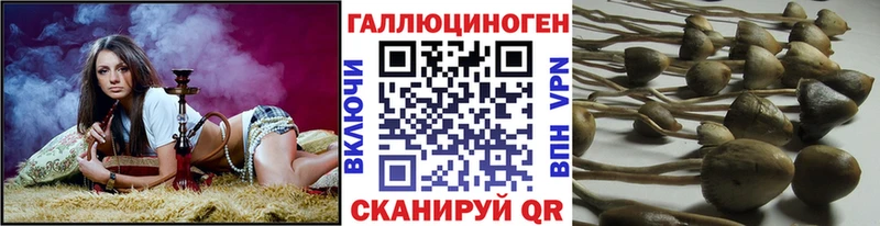 нарко площадка формула  Узловая  Псилоцибиновые грибы Psilocybe  магазин продажи   OMG зеркало 
