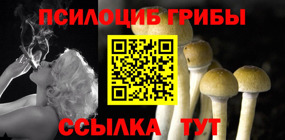 Псилоцибиновые грибы ЛСД Узловая